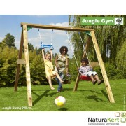 Jungle Gym Swing